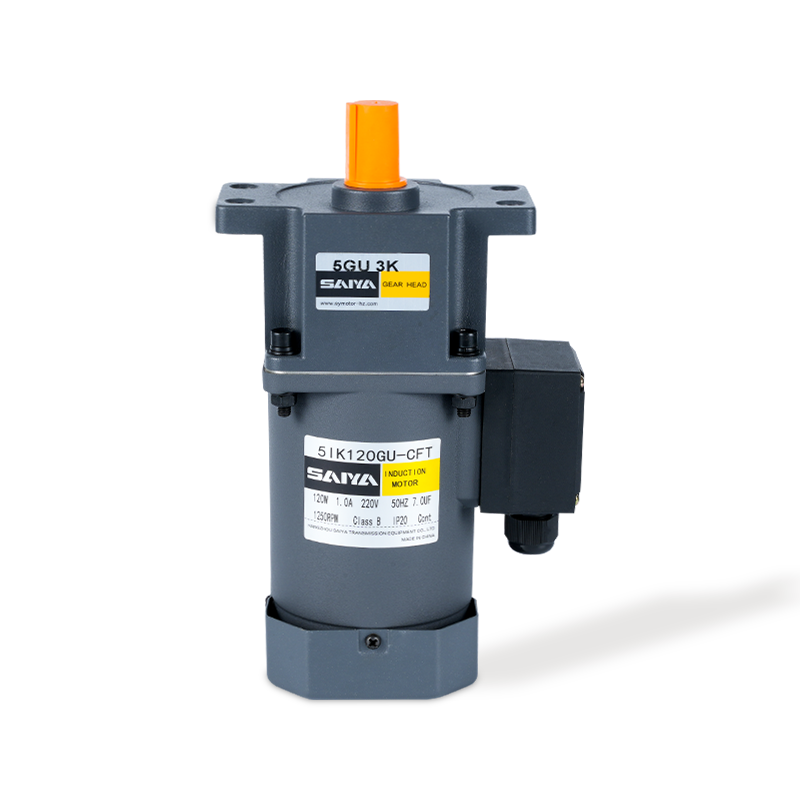 120W induktion AC -växelmotorer