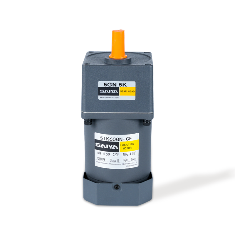 60W induktion AC -växelmotorer